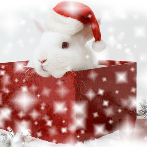 Hd-143823-ascw143823