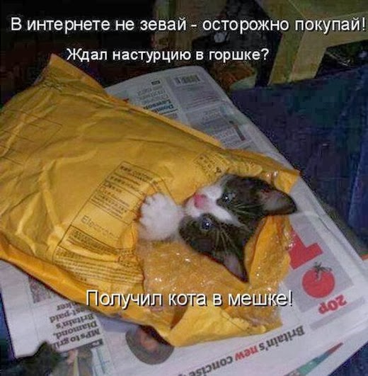 [553584f087a2c631cb7eaff5f9e%255B3%255D.jpg]