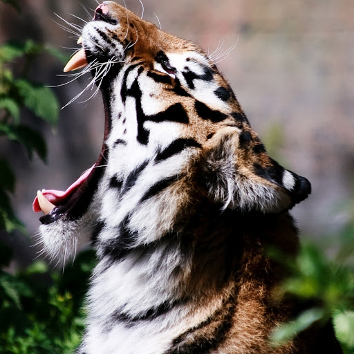 Hd-180366-ascw180366