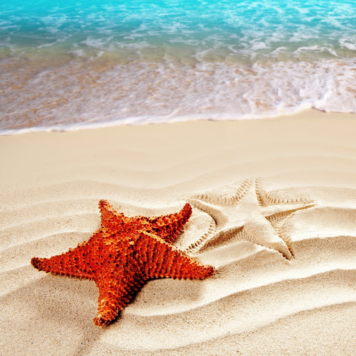 Hd-164310-ascw164310