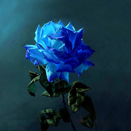 Hd-176817-ascw176817