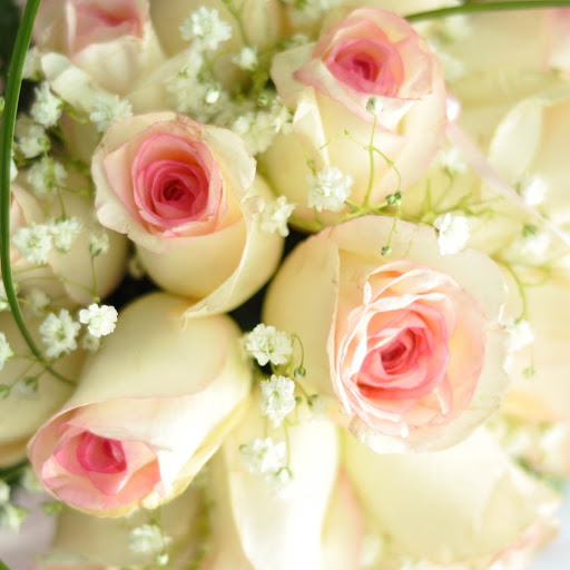 Hd-186147-ascw186147