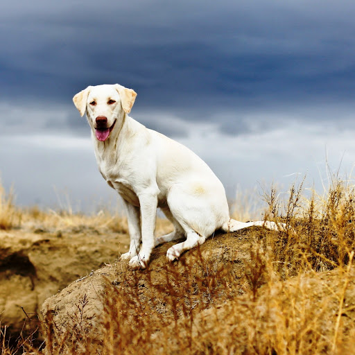 Hd-142758-ascw142758