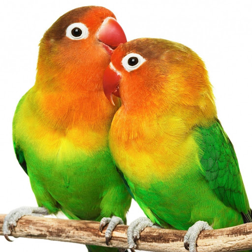 Hd-177830-ascw177830