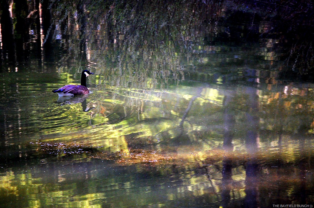 [DSC_7157%255B6%255D.jpg]