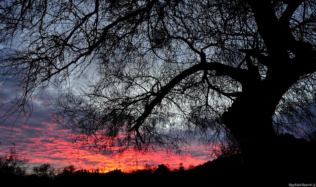 [DSC_0067%255B4%255D.jpg]