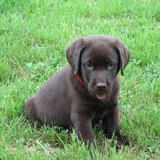 Hd-181317-ascw181317