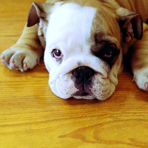 Hd-174874-ascw174874