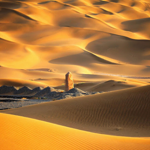 Hd-166511-ascw166511