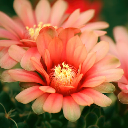 Hd-175236-ascw175236