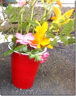 flowers in a cup