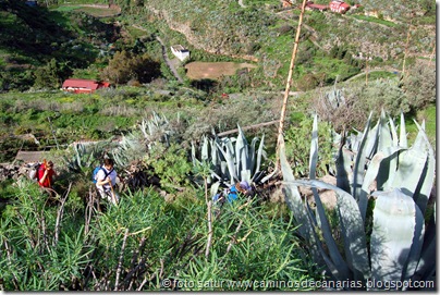 4443 La Atalaya-Barranco García Ruíz 4443 La Atalaya-Barranco García Ruíz