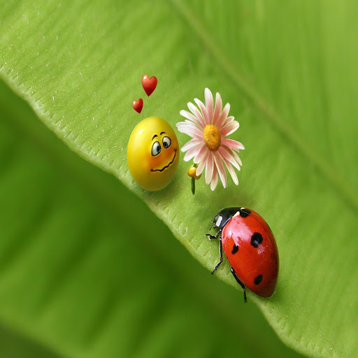 Hd-167841-ascw167841