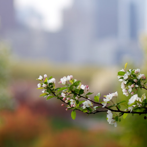 Hd-164613-ascw164613