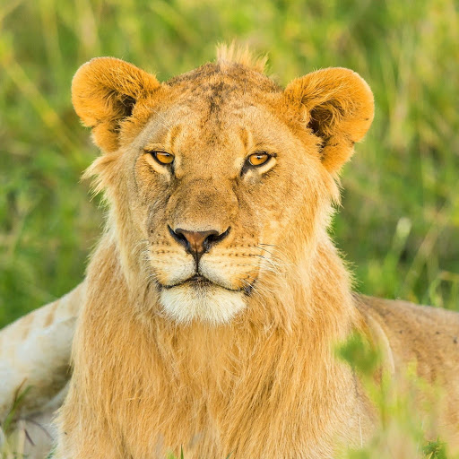 Hd-177546-ascw177546