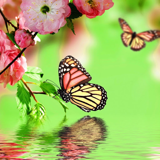 Hd-146386-ascw146386