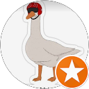 The Goose is Looses profile picture