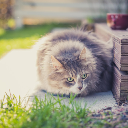 Hd-183616-ascw183616