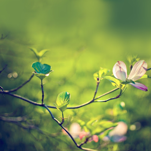 Hd-140589-ascw140589