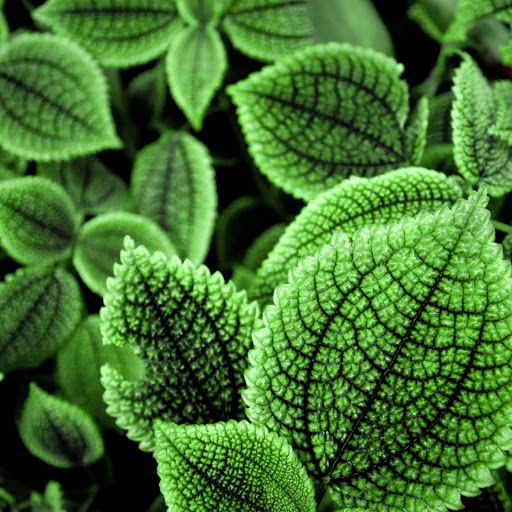 Hd-148463-ascw148463