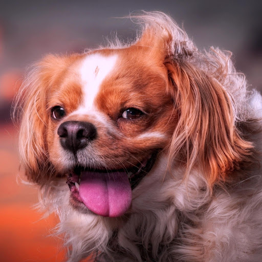 Hd-164396-ascw164396