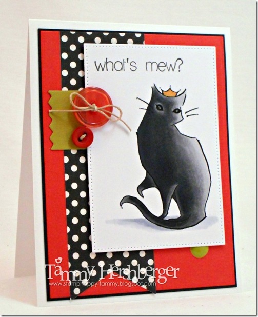 A Day for Daisies Pretty Black Cat by Tammy Hershberger