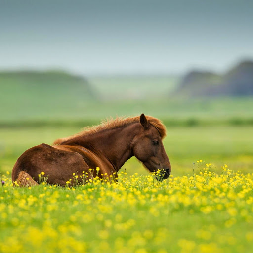 Hd-143892-ascw143892