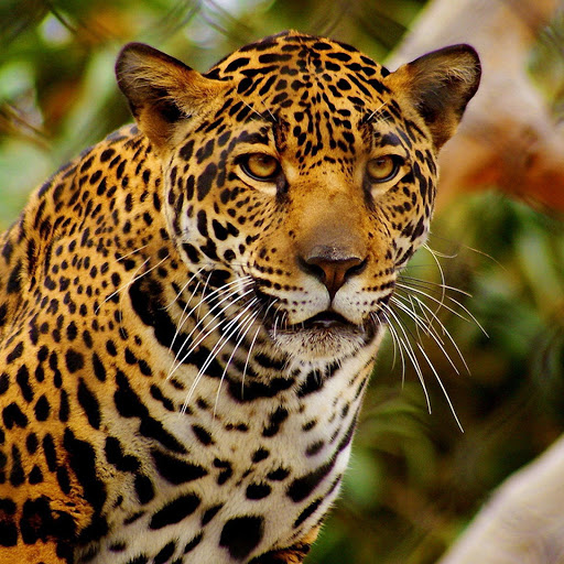 Hd-145533-ascw145533