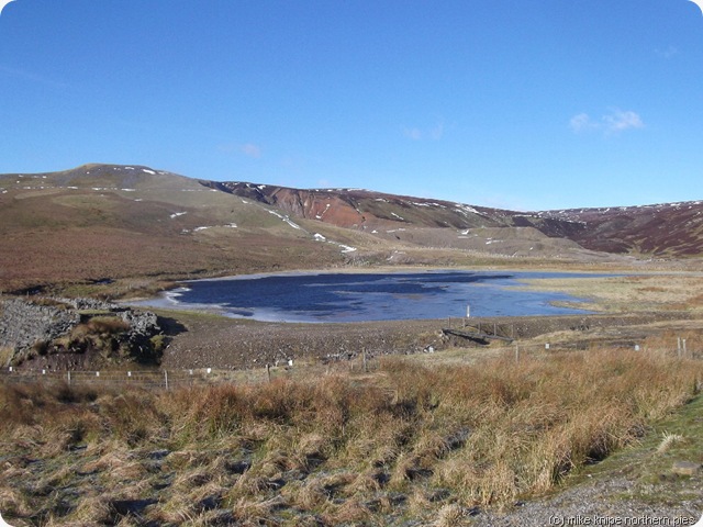  fish lake pond