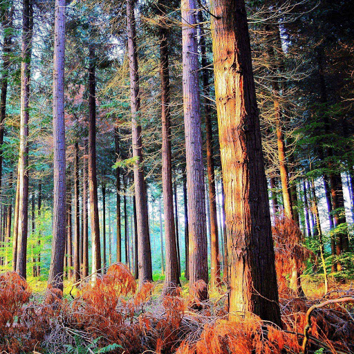 Hd-151162-ascw151162