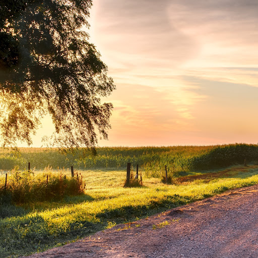 Hd-166701-ascw166701