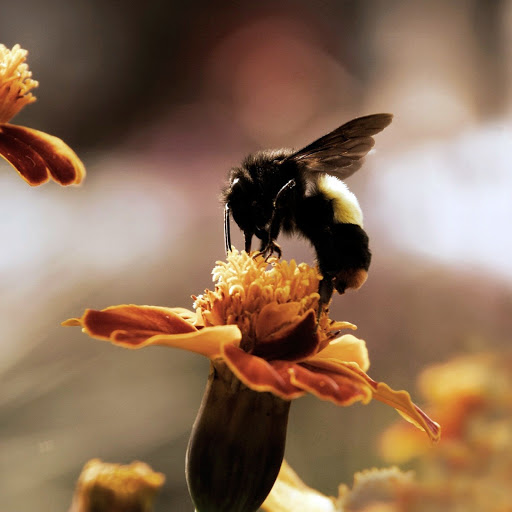 Hd-174885-ascw174885