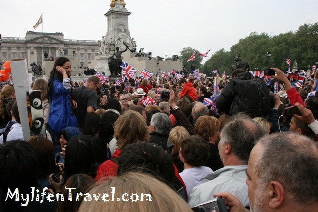 IMG_6884 IMG_6884