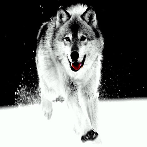 Hd-172361-ascw172361