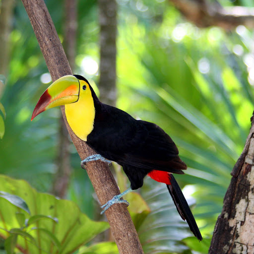 Hd-178241-ascw178241