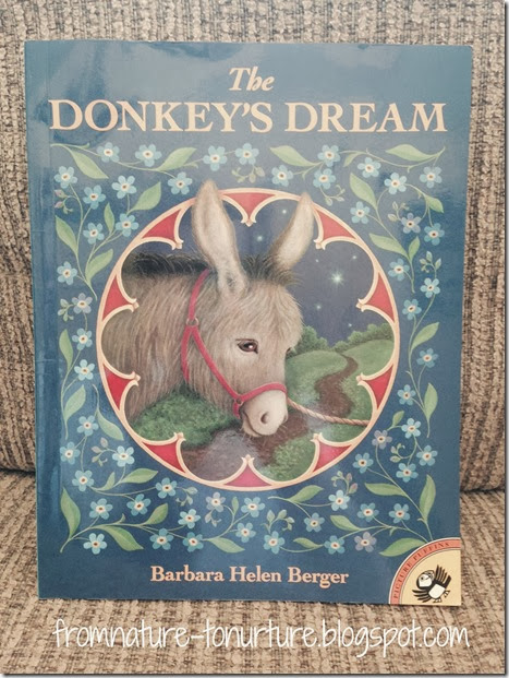 Donkey Dream