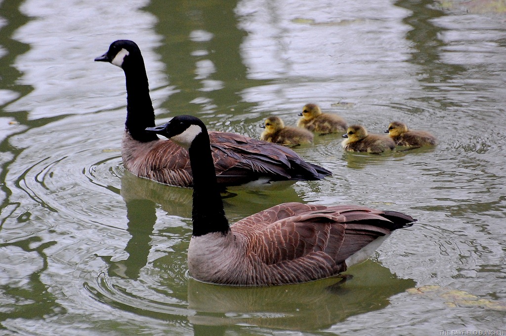 [DSC_9435%255B3%255D.jpg]