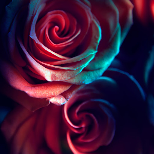 Hd-178794-ascw178794