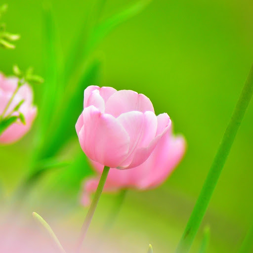 Hd-142677-ascw142677