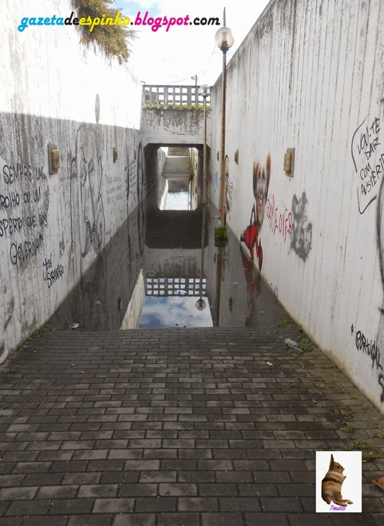 [DSCN1417%255B3%255D.jpg]