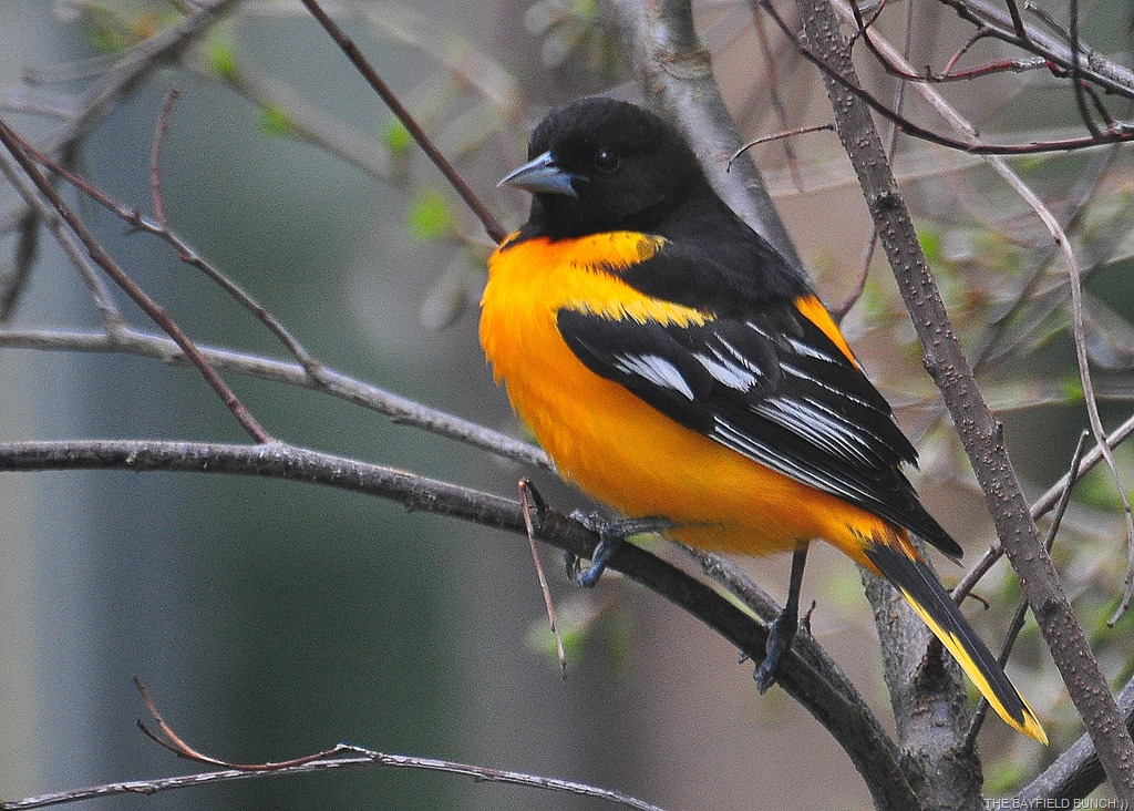 [DSC_0042%255B3%255D.jpg]