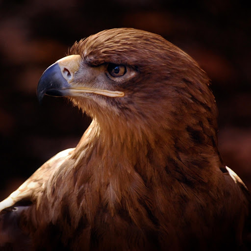 Hd-182614-ascw182614