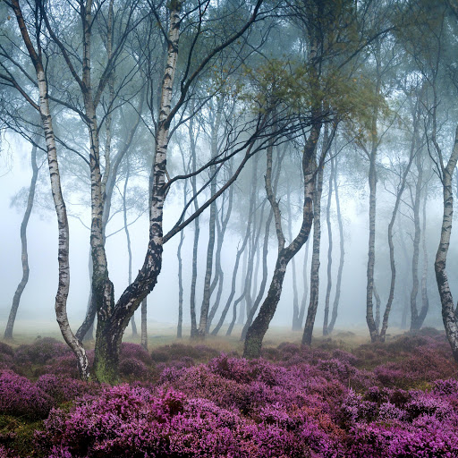 Hd-186165-ascw186165