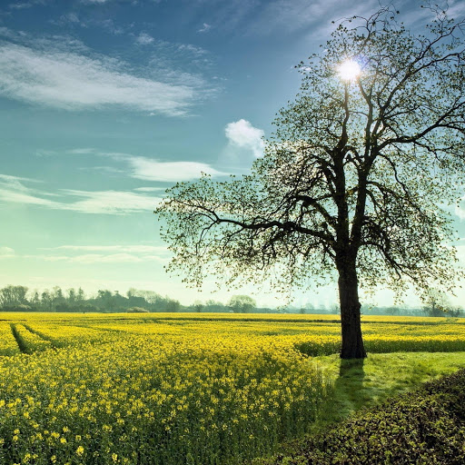 Hd-181887-ascw181887