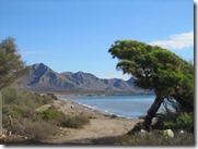 IMG_5637 IMG_5637