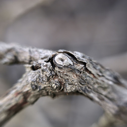 Hd-156083-ascw156083