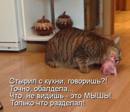 [b67f04a822a2182a703e38e9cfc_prev%255B3%255D.jpg]