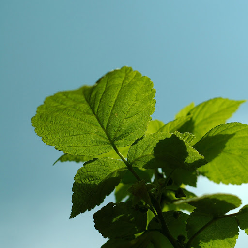 Hd-151034-ascw151034