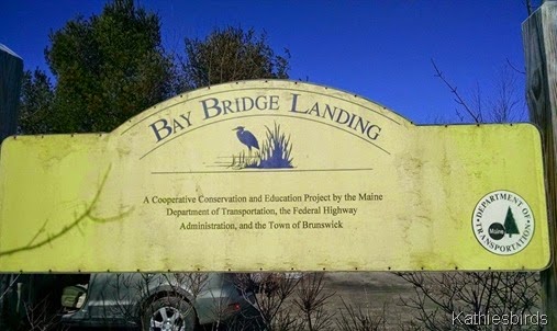 3-24-15 Bay Bridge landing
