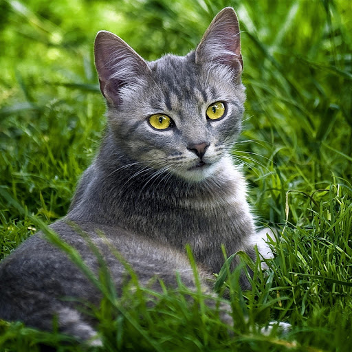 Hd-131493-ascw131493